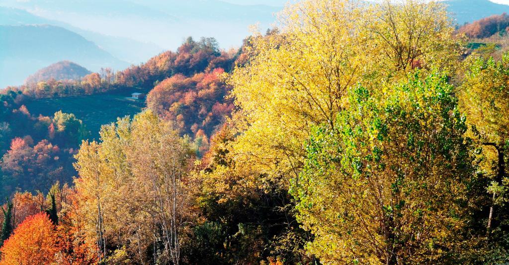 Borgo San Rocco Piemonte Apartment Castino ภายนอก รูปภาพ