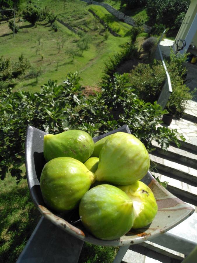 Borgo San Rocco Piemonte Apartment Castino ภายนอก รูปภาพ